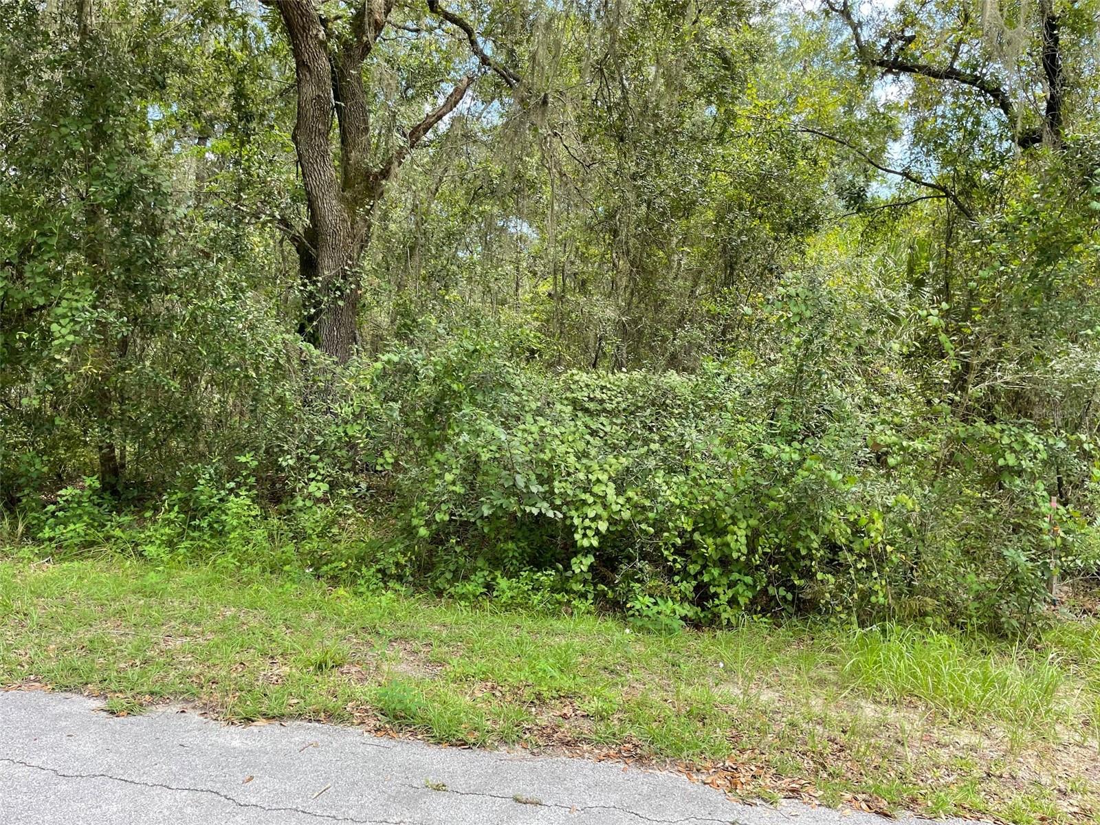 AWESOME LAKE FRONT PROPERTY ON A BIT MORE THAN 1/2 ACRE (0.52 Acres) LOCATED ON A DEAD END STREET IN RAINBOW LAKES ESTATES WITH NO HOA OR TIME LIMIT TO BUILD (No Mobile Homes). PEACEFUL AND SERENE THIS HOMESITE IS NICELY TREED AND WOODED. WHAT A GREAT LOCATION TO BUILD YOUR DREAM HOME, VACATION HOME OR AIRBNB ON THE LAKE. LOCATED ON BONABLE LAKE THIS LOT IS PERFECT FOR BOATING, FISHING OR KAYAKING RIGHT AT YOUR DOORSTEP! JUST IMAGINE ENJOYING THE BEAUTIFUL VIEW AND RELAXING LAKE FRONT TAKING IN ALL THAT NATURE HAS TO OFFER AND OUR GREAT FLORIDA WEATHER. RAINBOW LAKES OFFERS MANY FEATURES INCLUDING 2 PLAYGROUNDS AND PARK, EXERCISE ROOM, COMMUNITY CENTER, AND TENNIS, BASKETBALLLL AND RACQUET BALL COURT. CONVENIENT TO DOWNTOWN DUNNELLON GREAT FOR QUAINT ANTIQUE SHOPS, RESTAURANTS AND SHOPPING, OCALA, GAINESVILLE, CRYSTAL RIVER, GULF OF MEXICO, WORLD EQUESTRIAN CENTER FOR WORLD CLASS EQUESTRIAN SPORT AND THE CRYSTAL-CLEAR WATERS OF RAINBOW SPRINGS STATE PARK WHERE YOU CAN ENJOY SWIMMING, SNORKELING, TUBING AND PICNICING. ***THERE IS ALSO AN ADJACENT LOT NEXT DOOR FOR SALE AT AN ADDITIONAL COST. THE 2 LOTS TOGETHER WOULD GIVE YOU 1.04 ACRES.