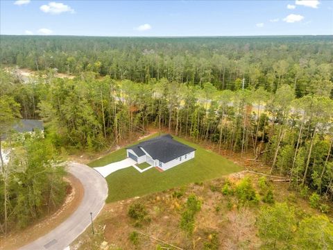 Tiny photo for 8 Sedum Court, Homosassa, FL 34446 (MLS # O6397834)