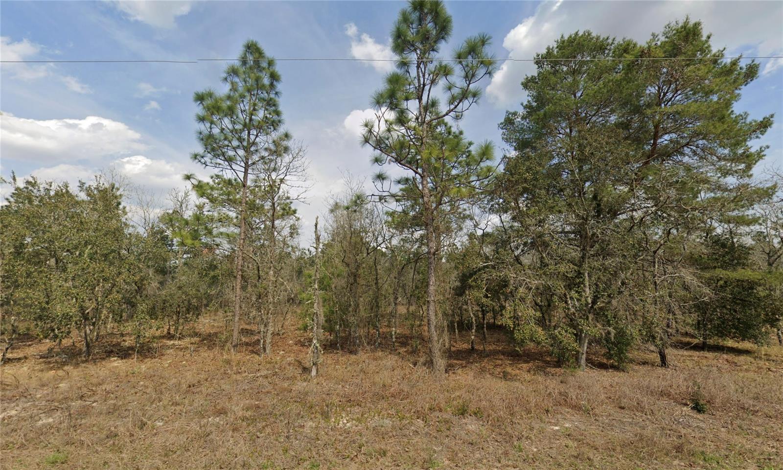 ROLLING HILLS UN 01 - Land