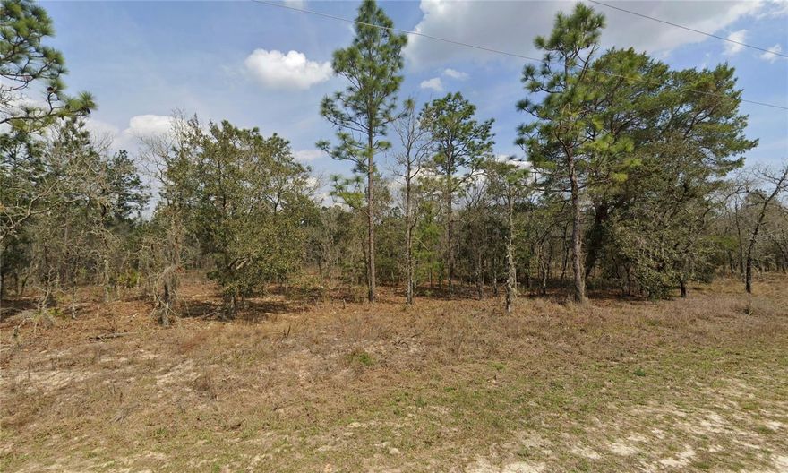 Fantastic 1.12 acre lot in the heart of Rolling Hills! Rolling Hills is a popular destination with its oversized lots, no HOA, and R1 designation. This lot is also NOT in a flood zone so you don't have to worry about flood insurance. You can choose your own builder and design your own home to your own specs. Not too far from WEC, Rainbow Springs, Ocala's airport, shopping, and all that the fast growing SW corridor of Ocala has to offer. Contact your local trusted real estate agent today for more information!
