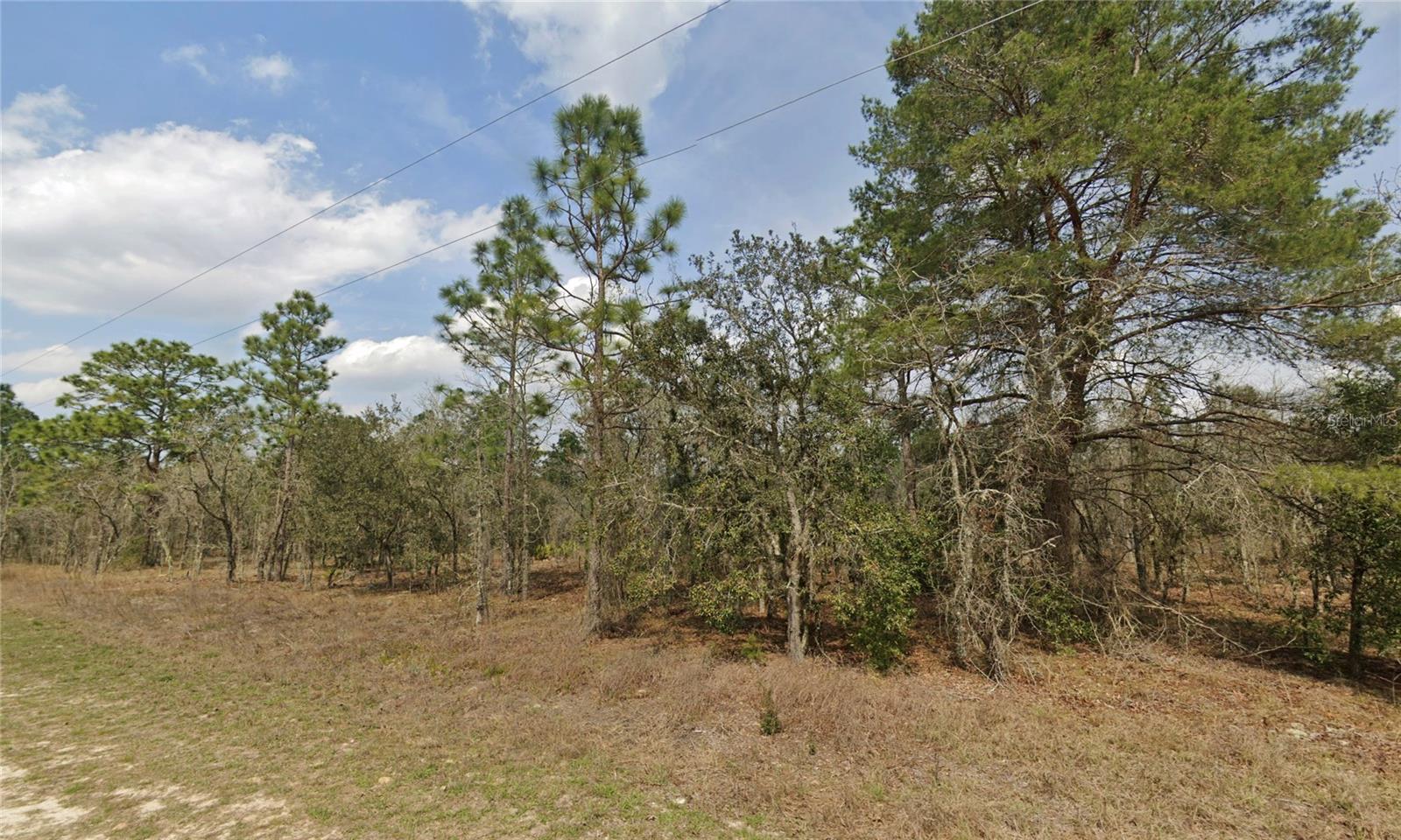 ROLLING HILLS UN 01 - Land