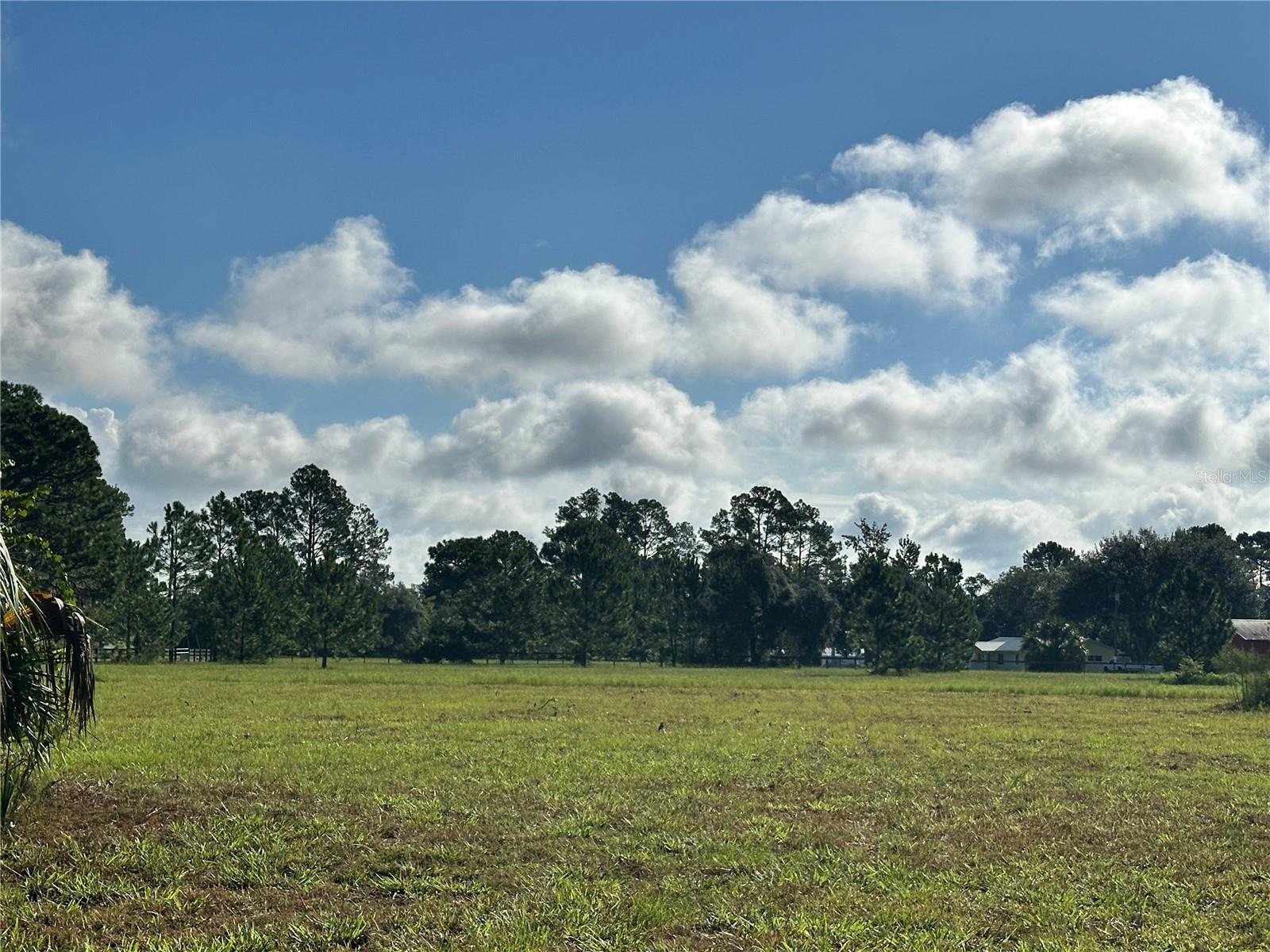 This is your chance to own an acre lot and build a custom-made house very close to Lake Dalhousie where you can enjoy boating, fishing, and skiing with your family and friends. Shoreline Ranch will be a gated community with 59 units only with at least an acre each parcel. Individual house construction is currently on-going and few houses are now standing and ready for move in. Bring your own developer and build your dream house anytime. Drive by at the community, stop at the Lake, and see it yourself. The popular Old Downtown Mount Dora is just less than 20 mins away. MCO is and hour away, including Disney. Stores such as Lowes, Publix, Starbucks, Mc Donalds, and more are just 17 minutes away from Shoreline Ranch.