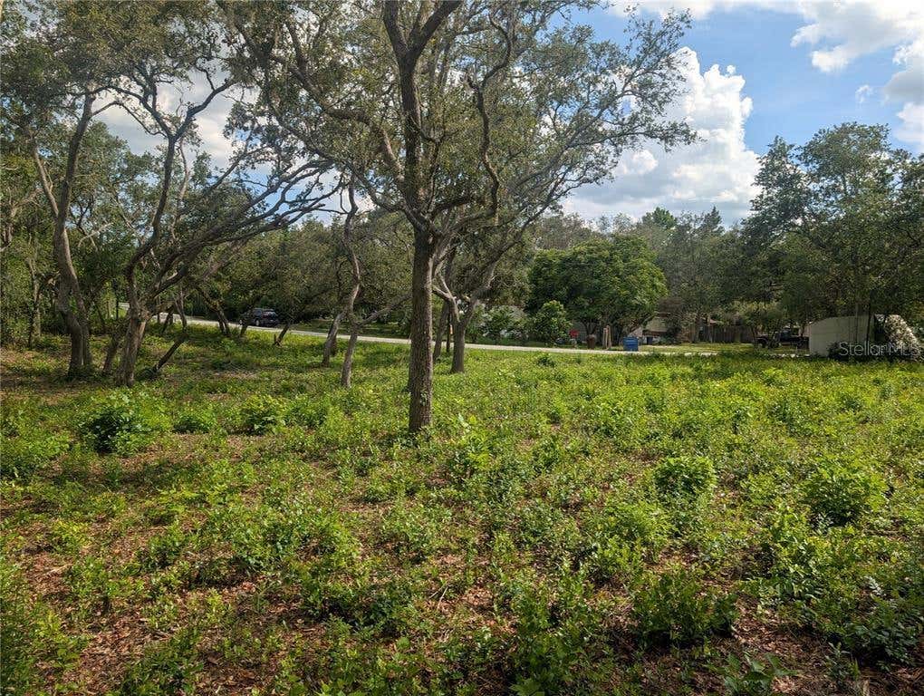 Photo of 0 Merlin Circle, Dade City, FL 33523 (MLS # TB8501846)