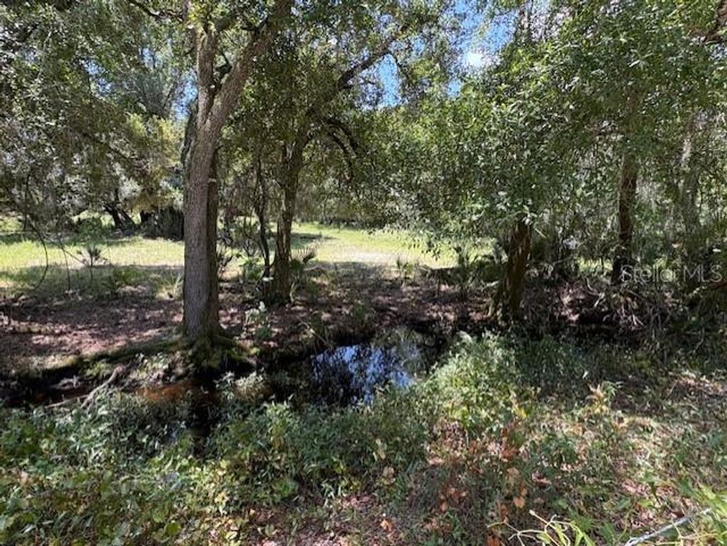 Photo of 10573 SE Foster Avenue, Arcadia, FL 34266 (MLS # C7512465)