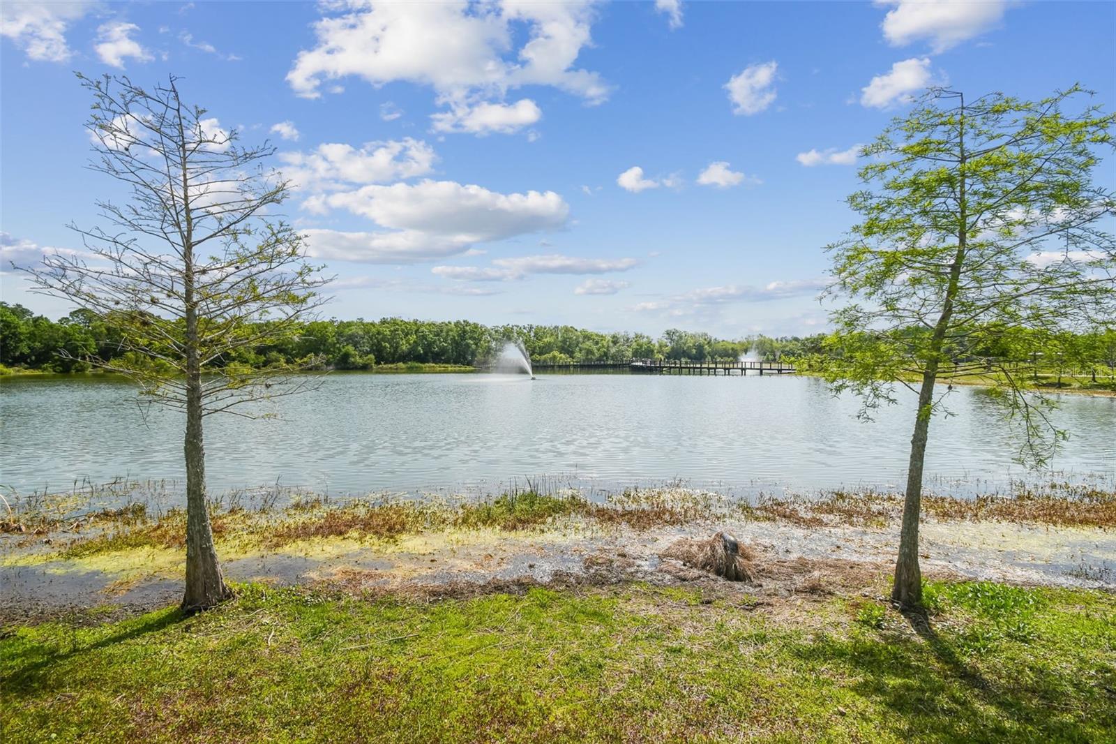 CYPRESS TRACE - Residential