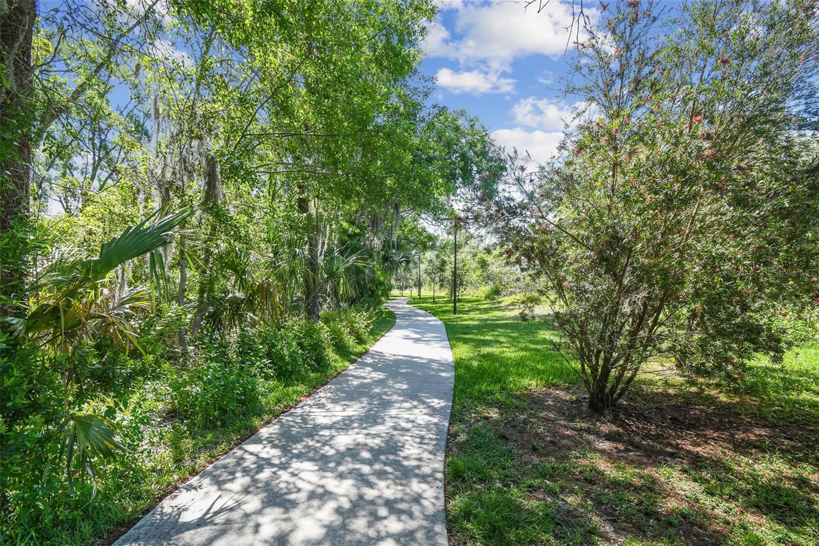 CYPRESS TRACE - Residential