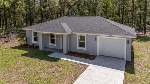 A home in DUNNELLON