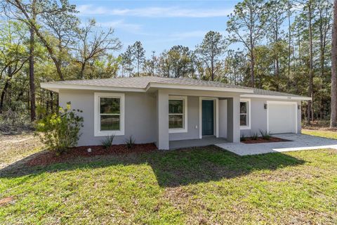 A home in DUNNELLON