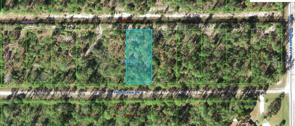 Photo of 612 Tropicana Drive, Indian Lake Estates, FL 33855 (MLS # O6312599)