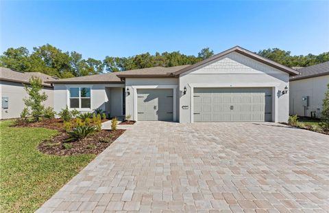 Photo of 5967 SW 82nd Terrace Road, Ocala, FL 34481 (MLS # TB8433589)