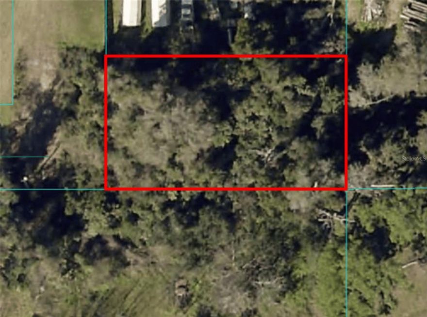 Prime 0.253-Acre Vacant Lot in Summerfield, FL – Endless Potential!

Seize this fantastic opportunity to own 0.253 acres of land in the growing and desirable community of Summerfield, FL 34491. Whether you're looking to build your dream home, invest in land, or secure a future development opportunity, this lot offers limitless possibilities.