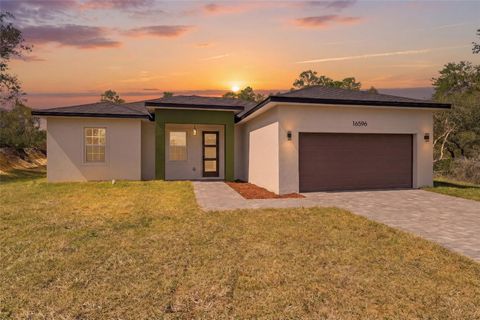 Photo of 16596 SW 31st Circle, Ocala, FL 34473 (MLS # O6388466)
