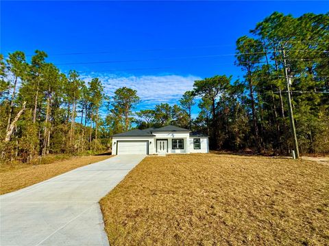 A home in CITRUS SPRINGS