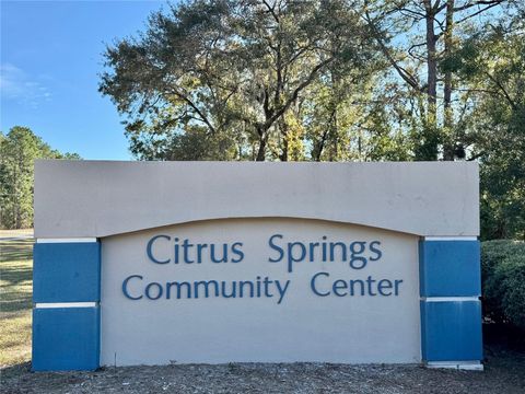 A home in CITRUS SPRINGS