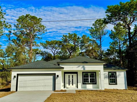 A home in CITRUS SPRINGS