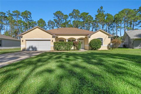 A home in PALM COAST