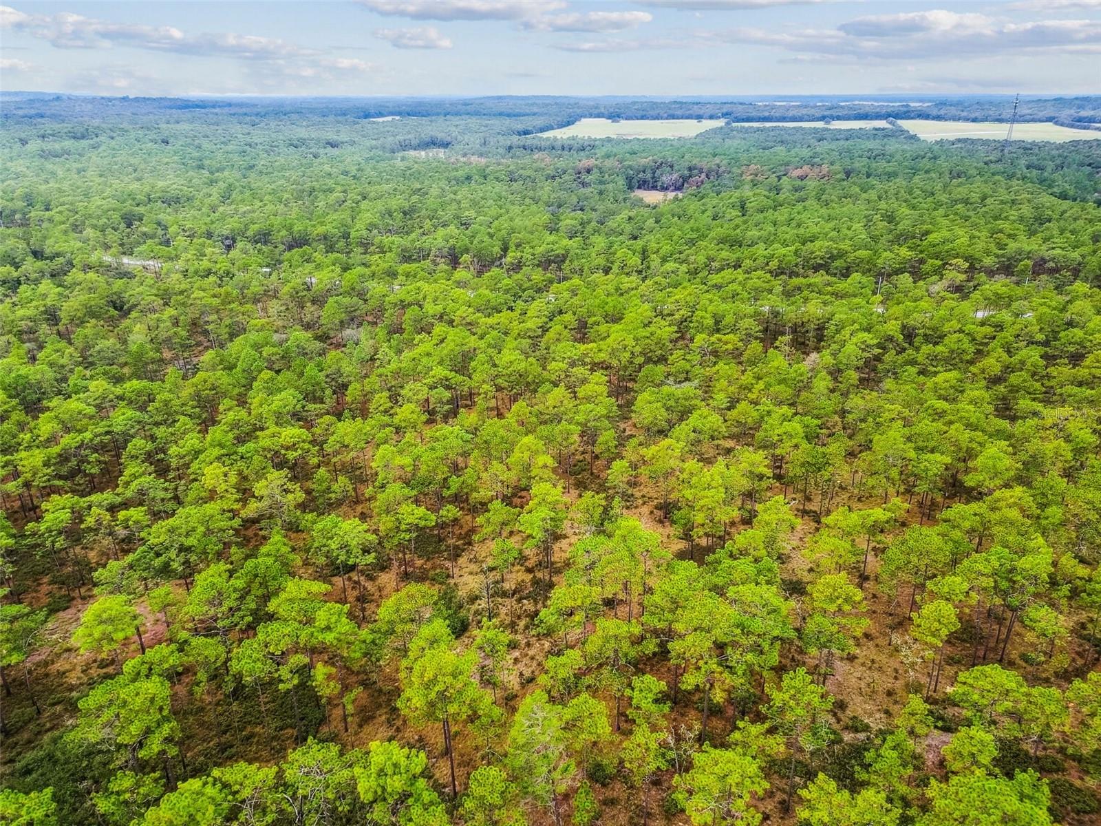 DEER HAVEN ESTATE UNREC - Residential