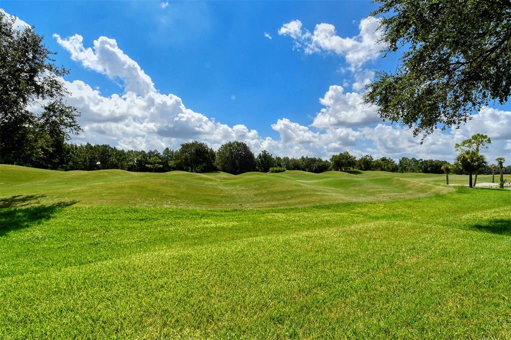 LAKEWOOD RANCH COUNTRY CLUB VILLAGE EE 3D - Residential
