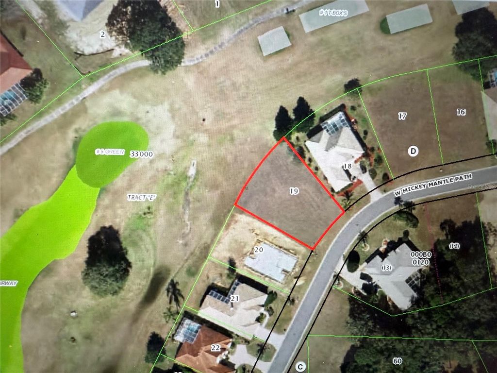 Photo of 227 W Mickey Mantle Path, Hernando, FL 34442 (MLS # OM713929)