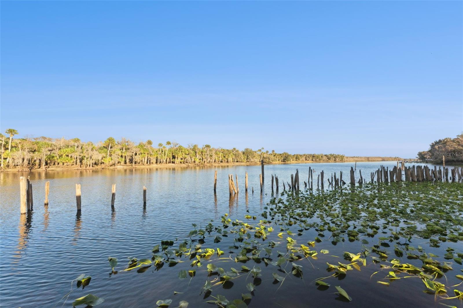 OSCEOLA BLUFF NORTH 5 ACRE DEV 45 PARCELS - Residential