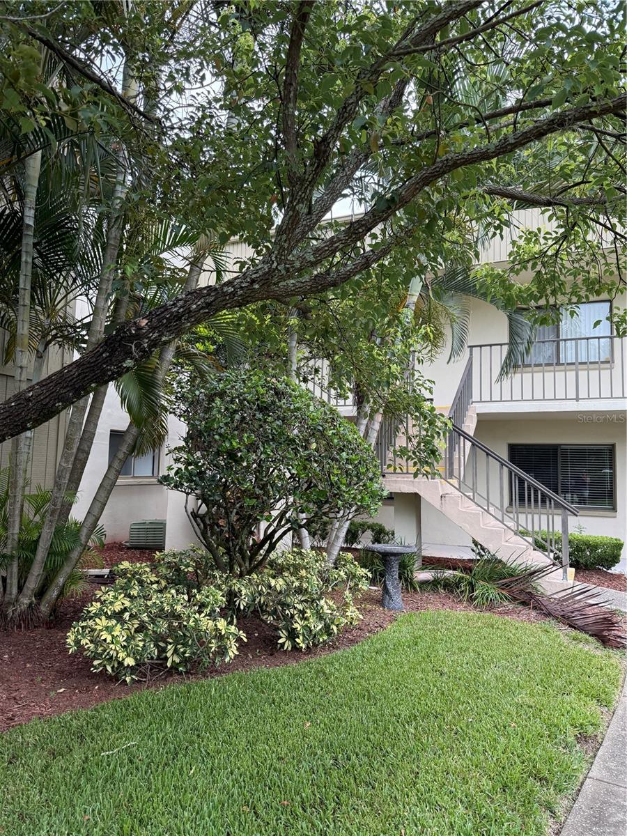 Great Investor opportunity in the popular Fox Chase Community. No prior ownership time required to lease after purchase. CORNER UNIT - TOP (2ND) FLOOR, Condo features 2 bedrooms, 2 full bathrooms, large living room, and a dinette area adjacent to the kitchen. The spacious master bedroom offers a walk-in closet and an ensuite bathroom with an updated walk-in shower. A screened balcony with a laundry closet (washer/dryer is included) is accessible from the second bedroom. The Fox Chase community has fabulous amenities including a large heated pool, playground area , tennis, pickleball, basketball, shuffleboard, and bocce courts, fitness area, library, pool tables, dog walk, located across the street from the building. Fox Chase is pet friendly and zoned for top-rated Palm Harbor schools. Terrific location is nearby Downtown Palm Harbor, parks, beaches, golfing, shopping, entertainment and medical services.