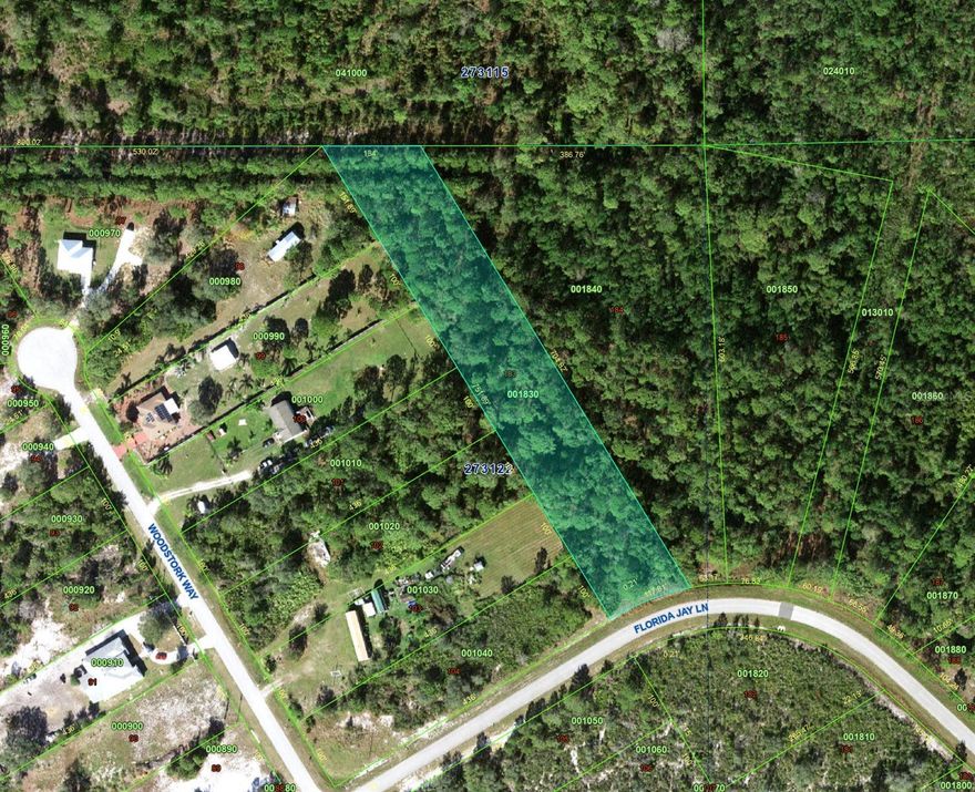 Discover this exceptional homesite located in the fastest-growing city in Florida. This parcel provides a strong foundation for future residential construction, offering versatility for builders, investors, and homebuyers alike. With continued suburban expansion and rising demand in the area, this property represents a prime opportunity to invest in long-term growth and development.
