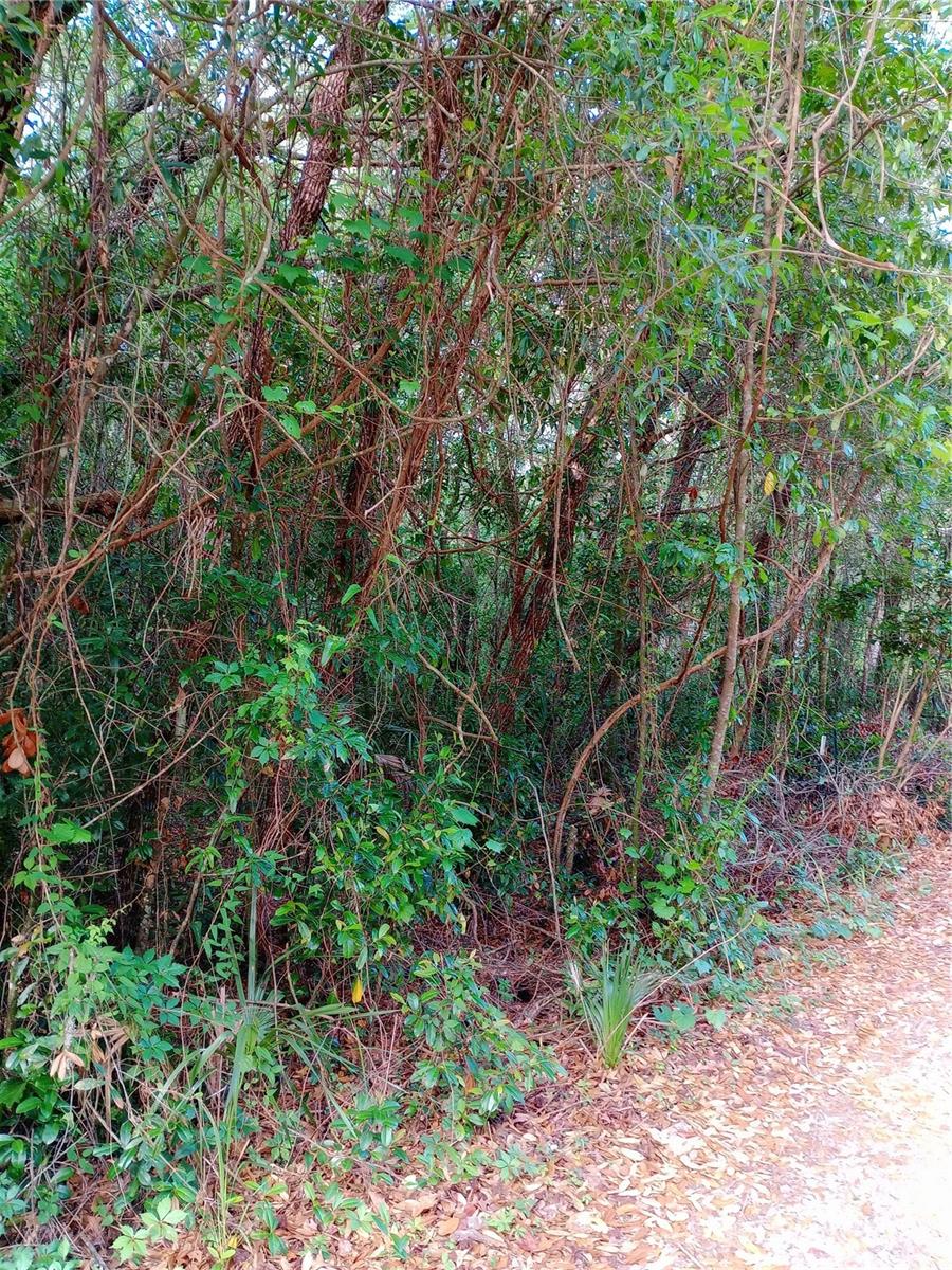 MAYFAIR GARDEN ACRES - Land