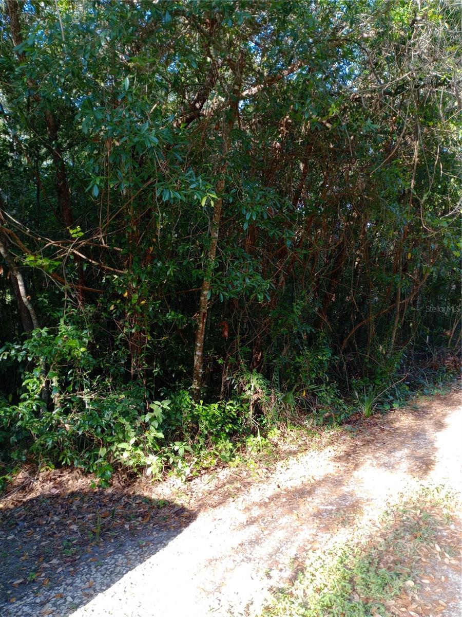 MAYFAIR GARDEN ACRES - Land