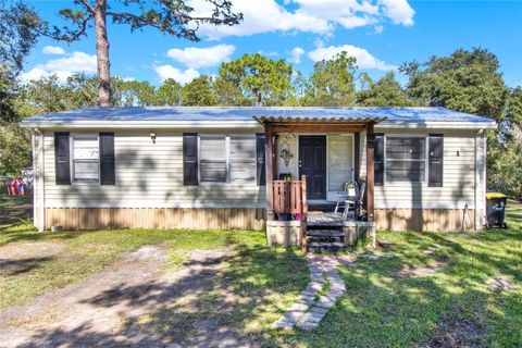 A home in POLK CITY