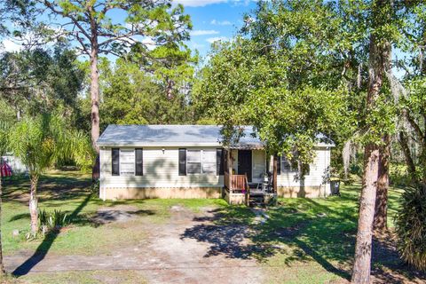 A home in POLK CITY