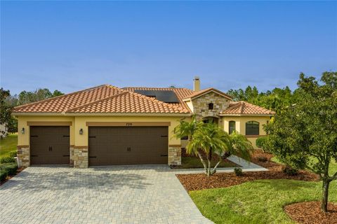 Photo of 729 San Raphael Street, Kissimmee, FL 34759 (MLS # O6221679)