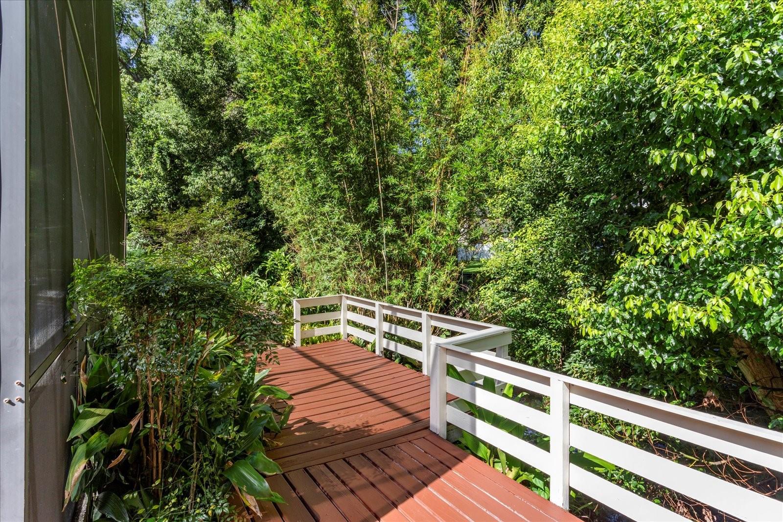 DOMMERICH WOODS - Residential