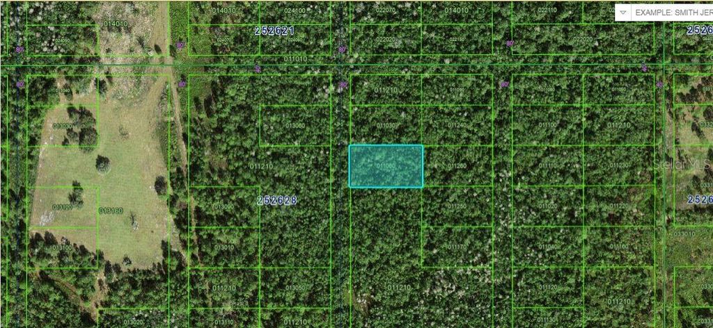 Photo of Commonwealth Ave N, Polk City, FL 33868 (MLS # O6264127)