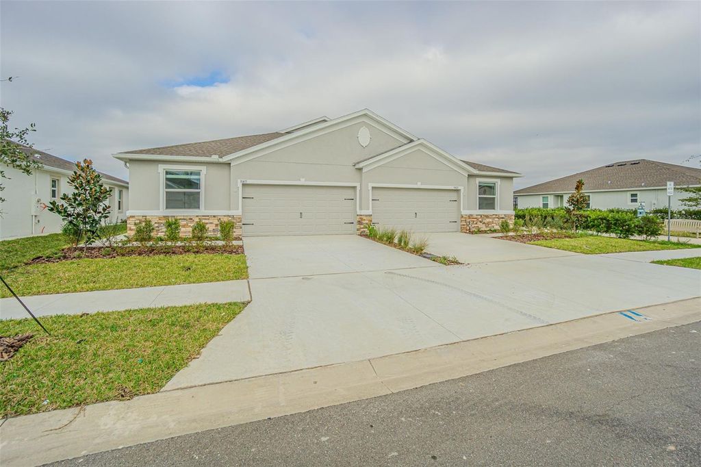 Photo of 31423 Paper Birch Street, Wesley Chapel, FL 33545 (MLS # TB8456248)