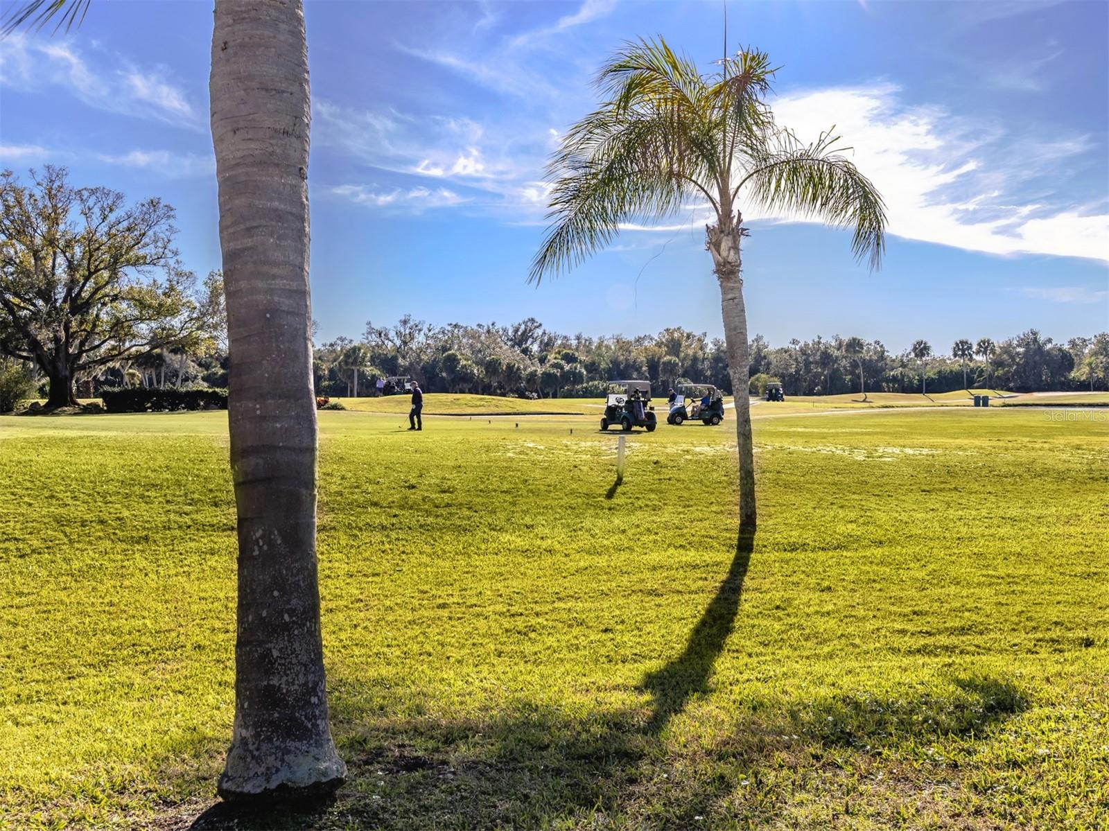 GREENVIEW VILLAS - Residential