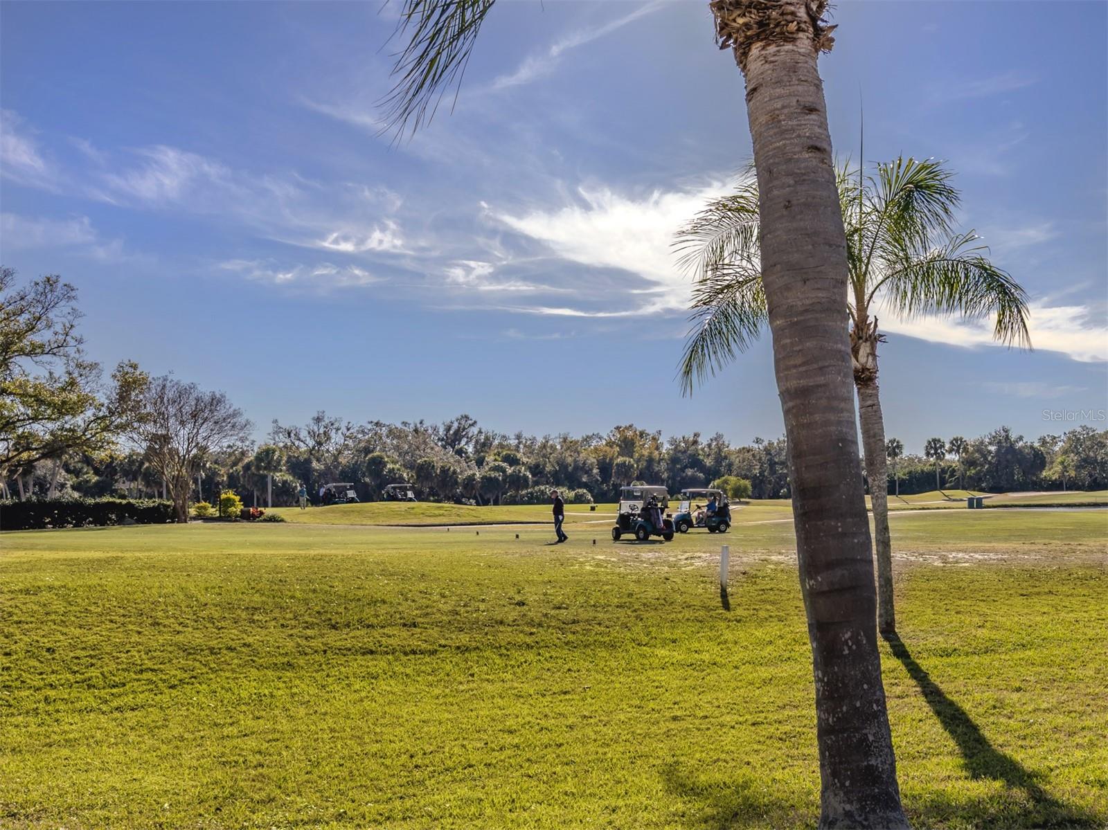 GREENVIEW VILLAS - Residential