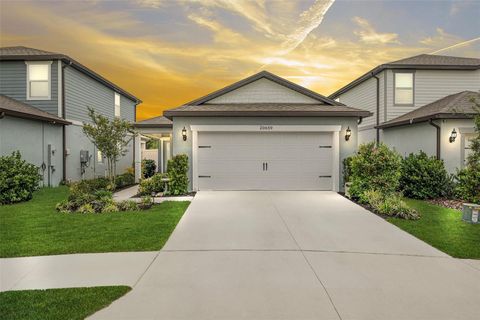 20659 DRAKE ELM DRIVE LAND O LAKES FL 34638