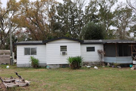 1133 LIVE OAK LANE LUTZ FL 33549