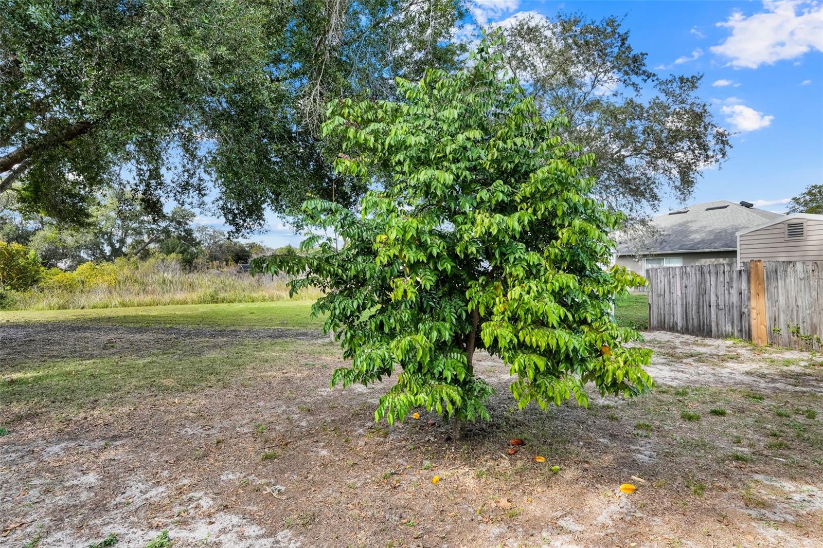 GROVELAND HIDDEN LAKES ESTATES - Residential