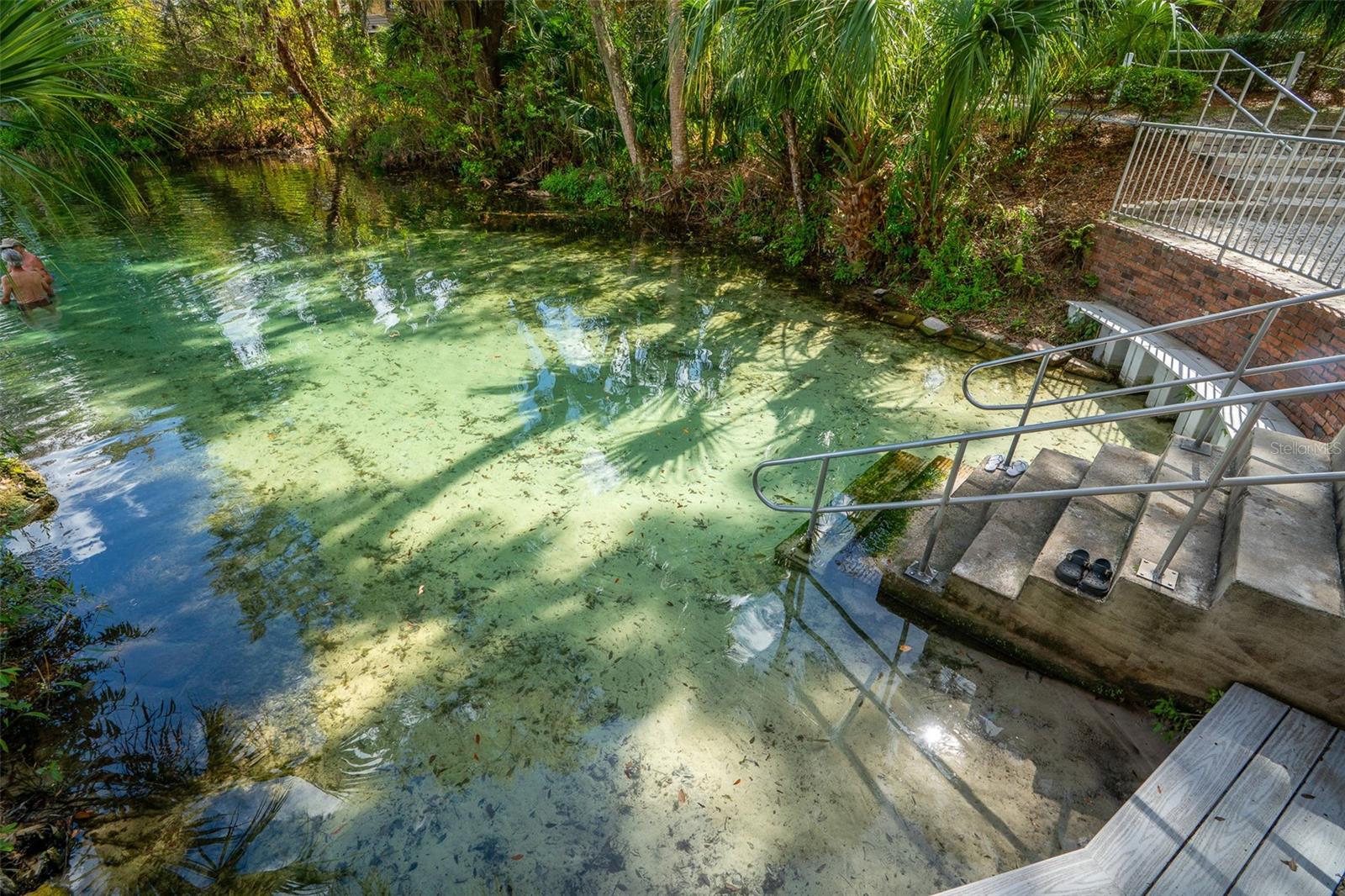 RAINBOW SPGS 05 REP - Residential