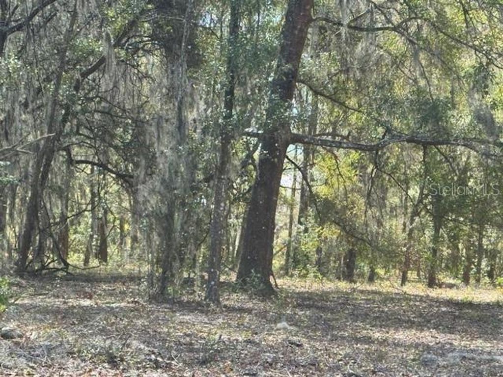 Photo of 0 NE 141st Street, Citra, FL 32113 (MLS # OM719864)