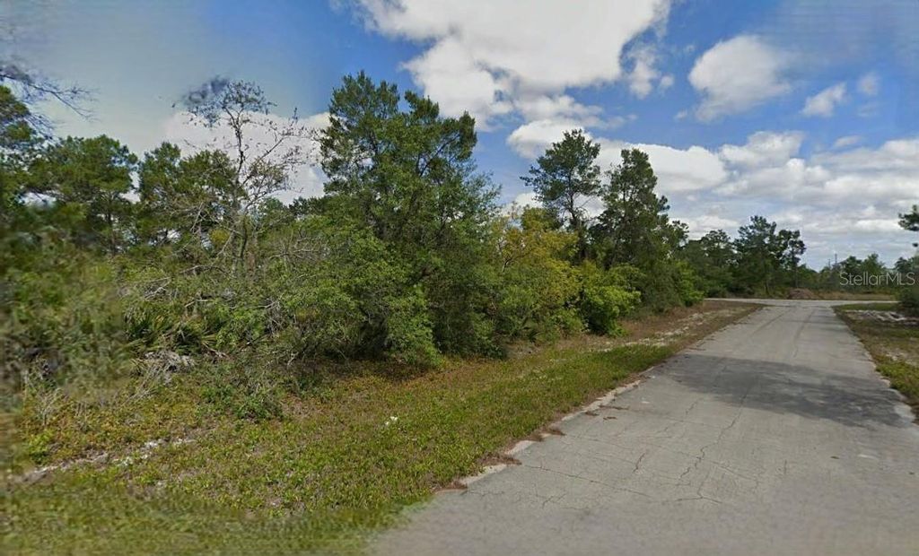 Photo of 215 Treasurer Avenue NE, Lake Placid, FL 33852 (MLS # O6293339)