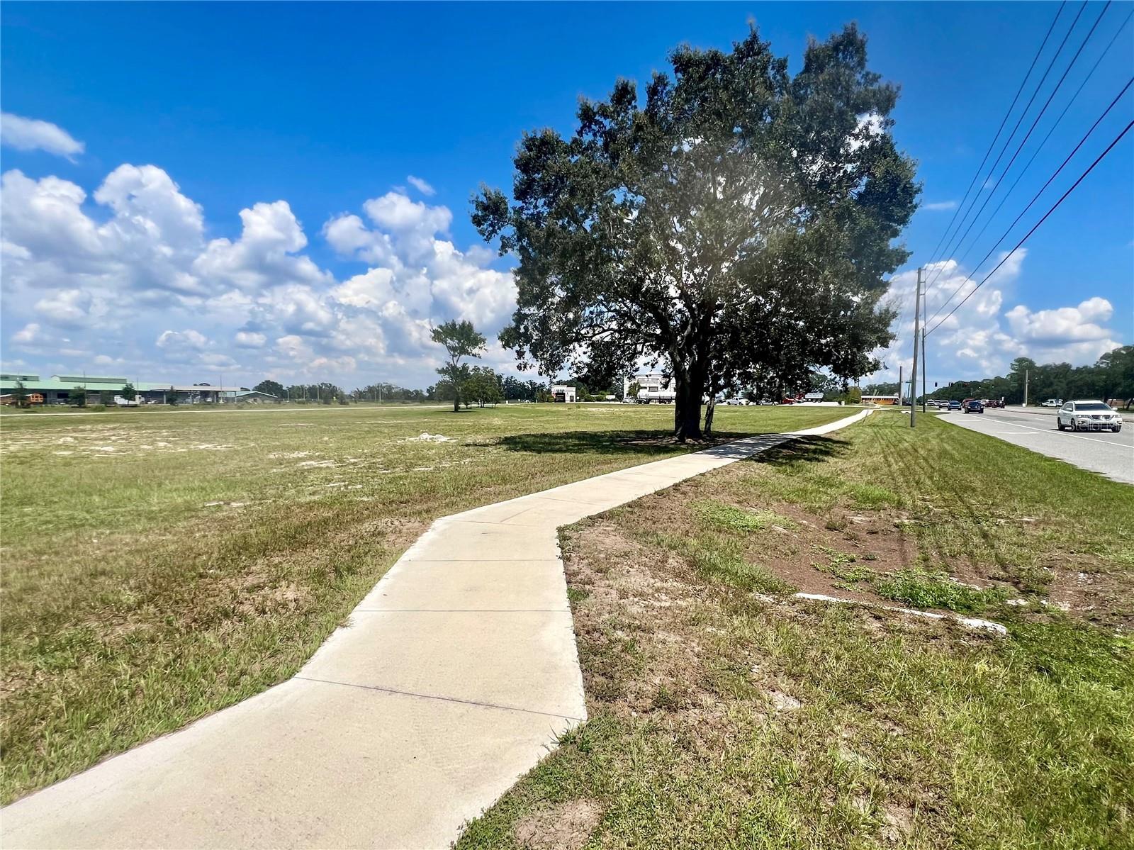 SPRING HILL DRIVE