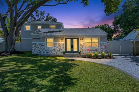 3922 W BAY VIEW AVENUE TAMPA FL 33611