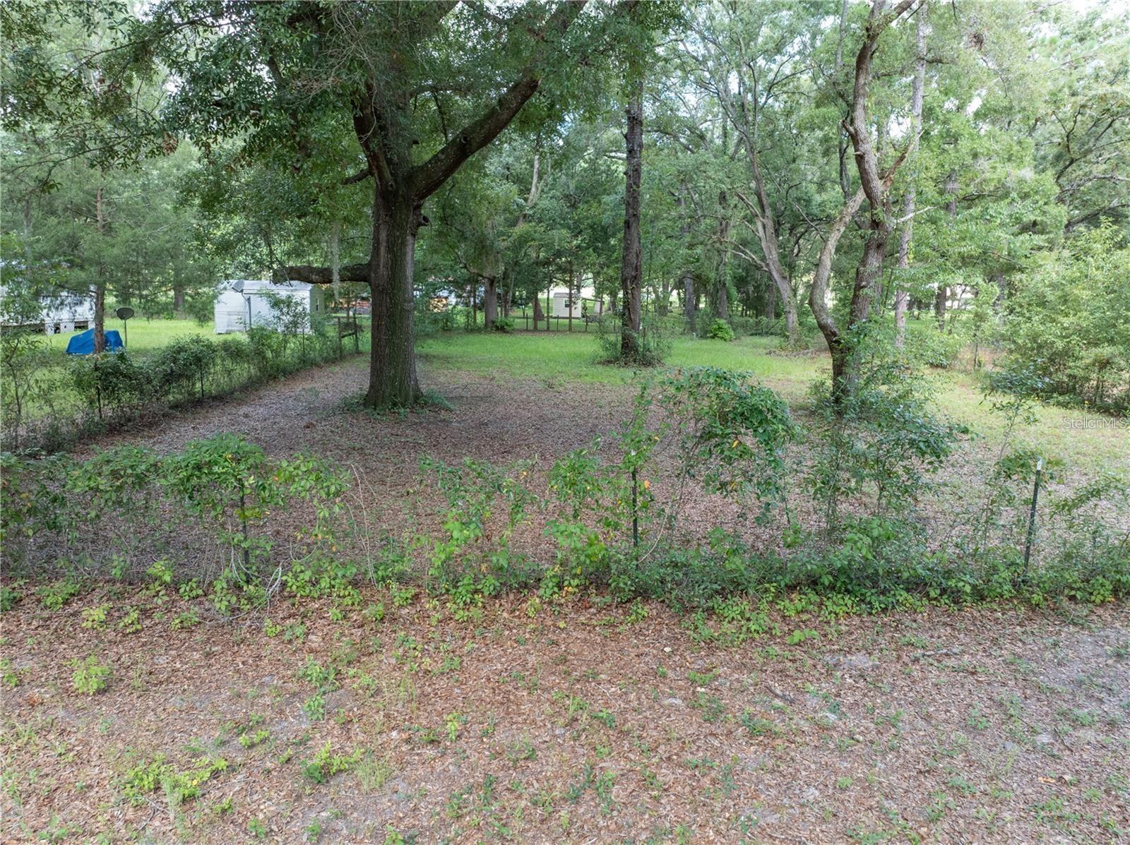 BARWICK SUB - Residential