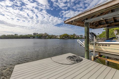 734 WEEDON DRIVE NE ST PETERSBURG FL 33702