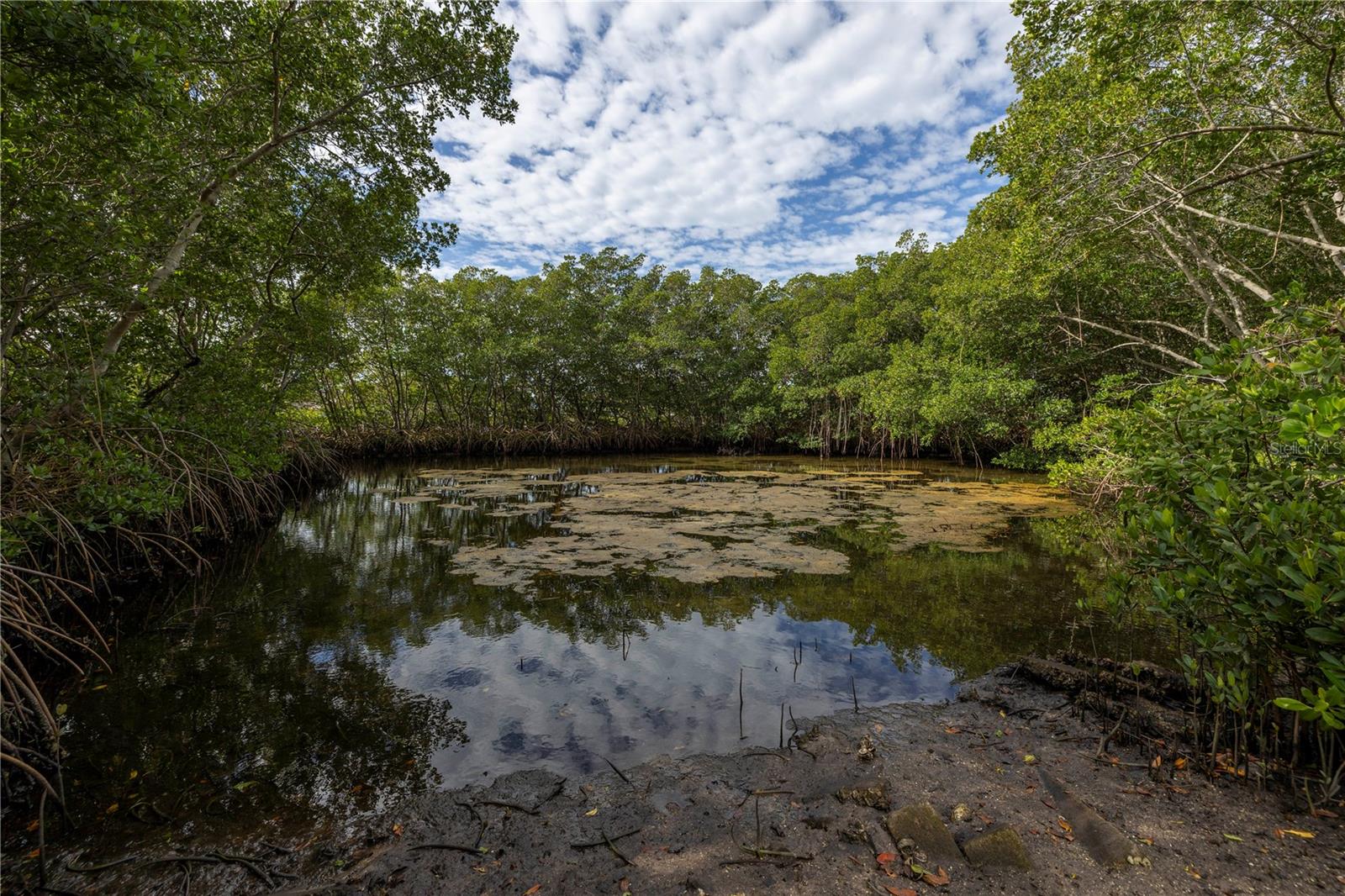 FLORIDA RIVIERA 10 - Land