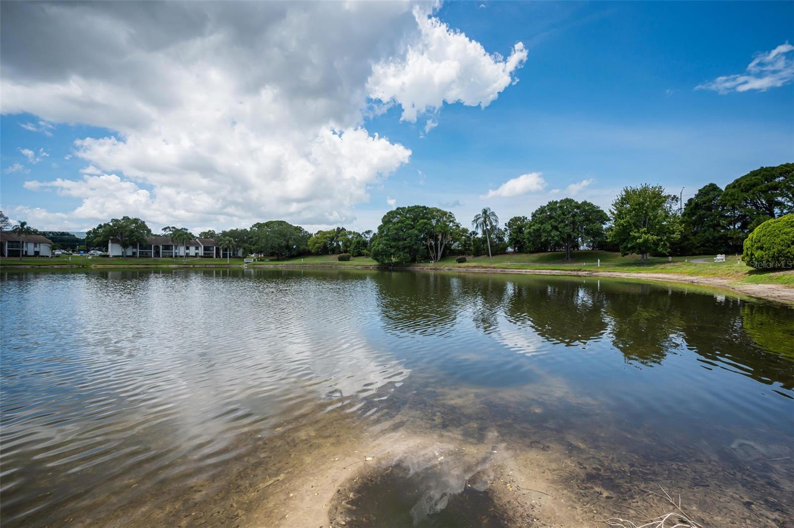 PINE RIDGE AT PALM HARBOR - Residential