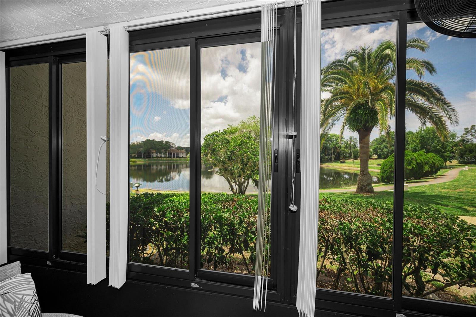 PINE RIDGE AT PALM HARBOR - Residential
