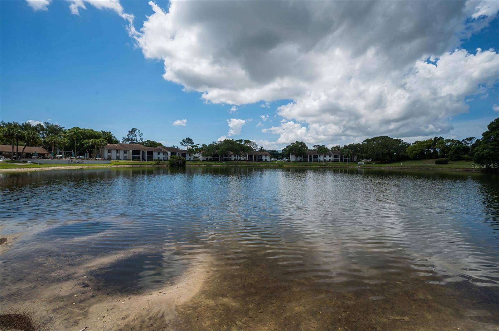 PINE RIDGE AT PALM HARBOR - Residential